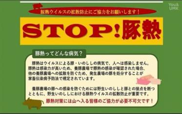 豚熱