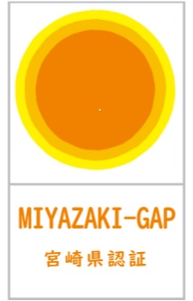 ＧＡＰロゴ