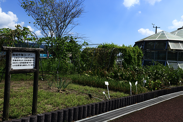 地域野菜コーナーの様子