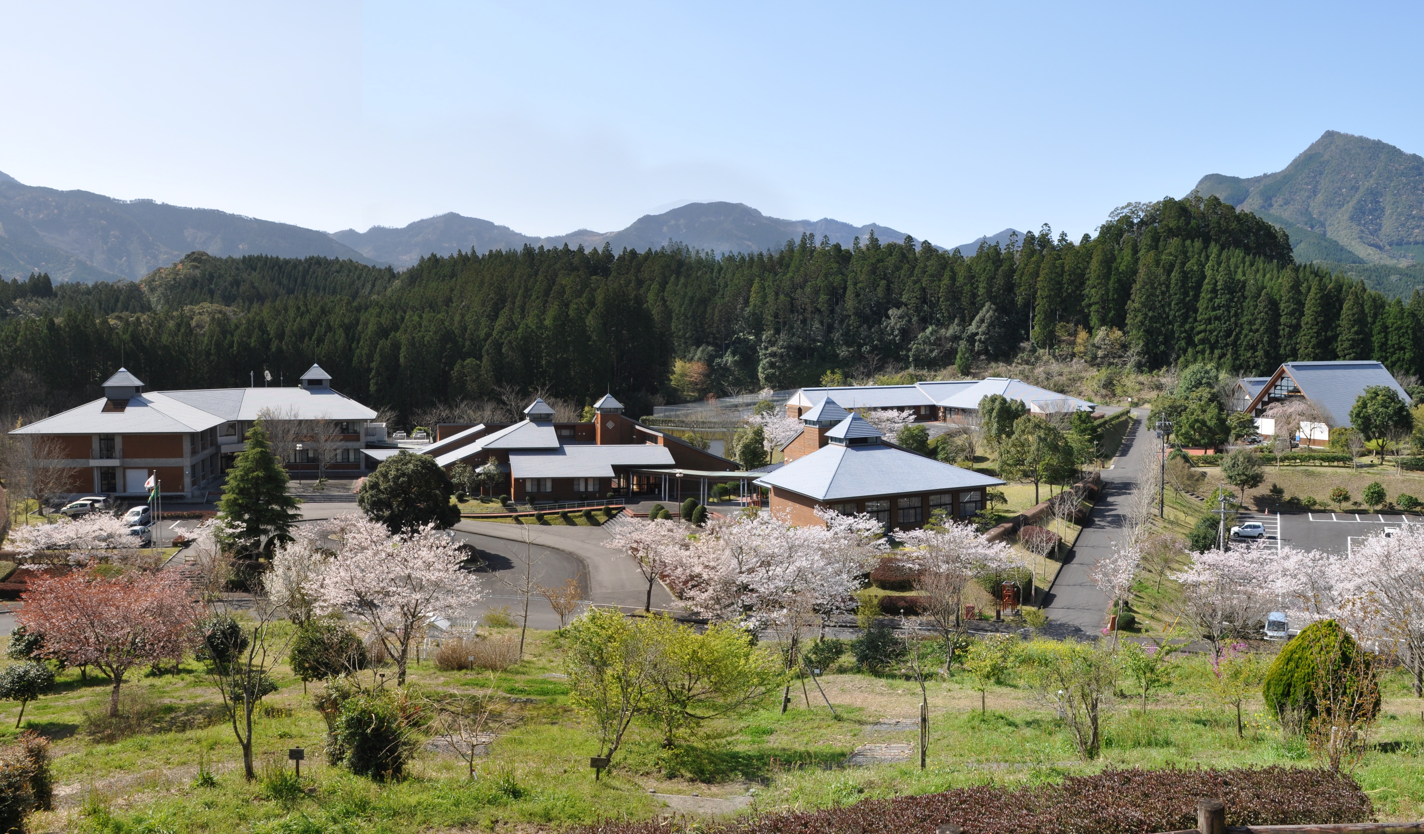 林業大学校