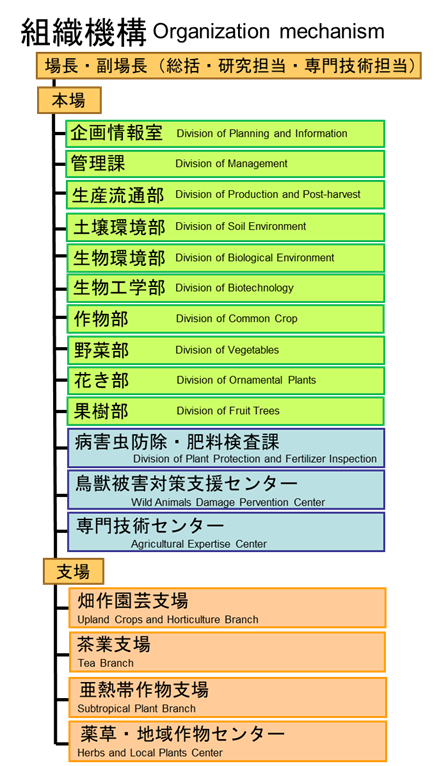 総合農業試験場組織図