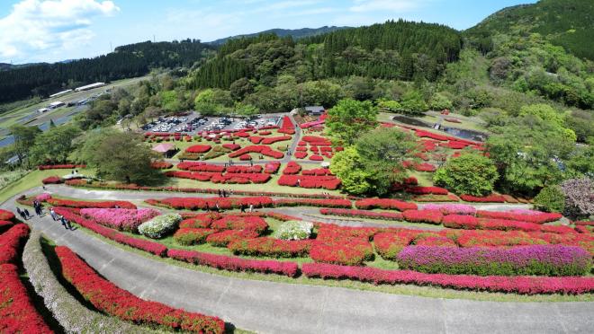 椎八重公園