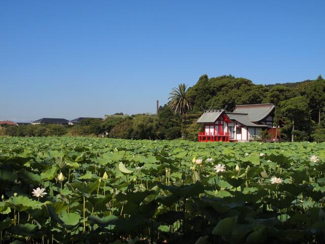湖水ヶ池