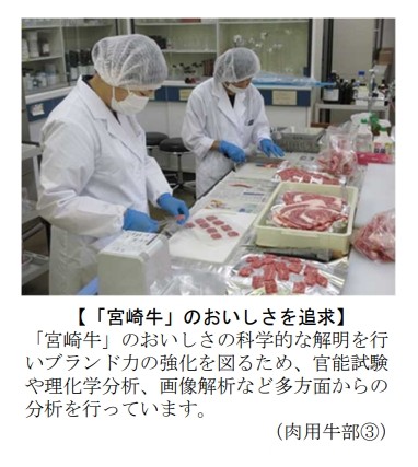 宮崎牛のおいしさを追求