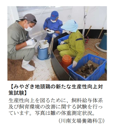 新たな生産性向上対策試験