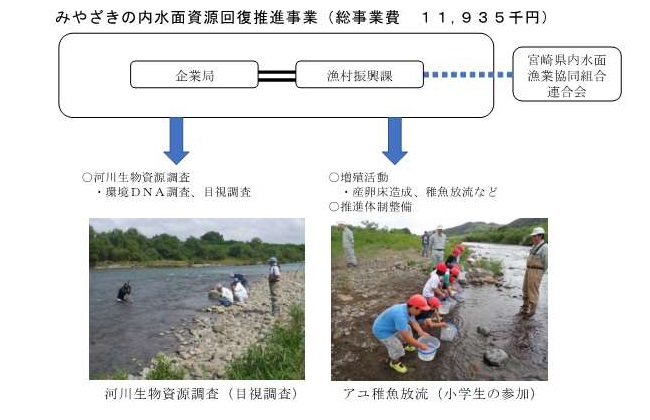 みやざきの内水面資源回復推進事業