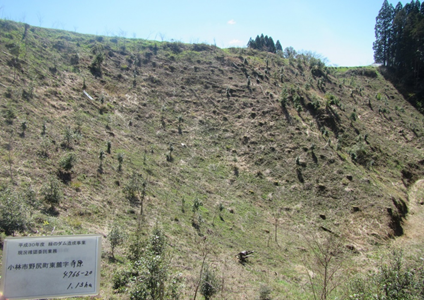 平成30年現地調査時の様子