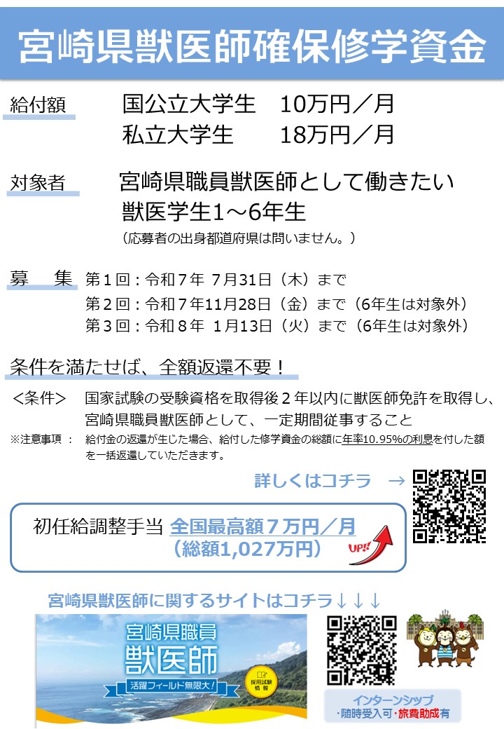 一般枠チラシ