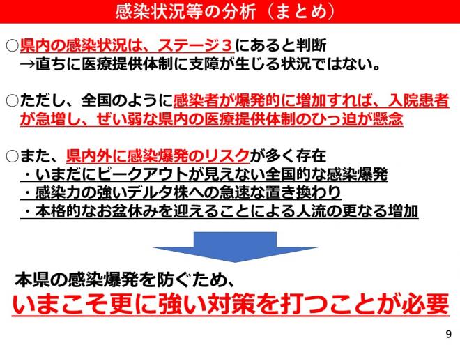 感染状況等の分析（まとめ）の図