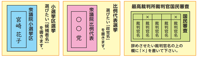 投票用紙サンプル