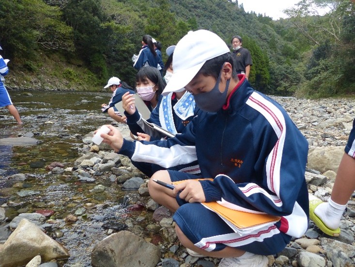 カキ殻の影響調査