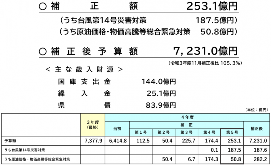 11月臨時補正額