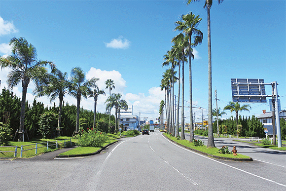 沿道修景植栽地区