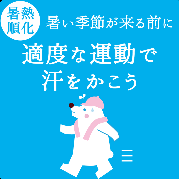 暑熱馴化運動しよう