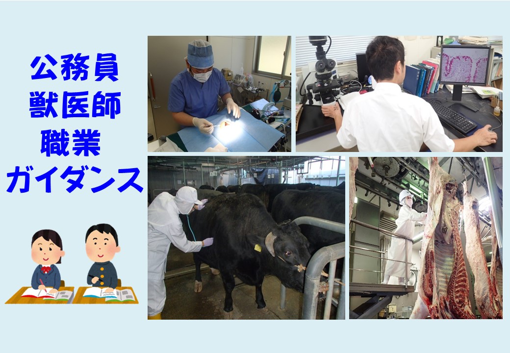 案内写真