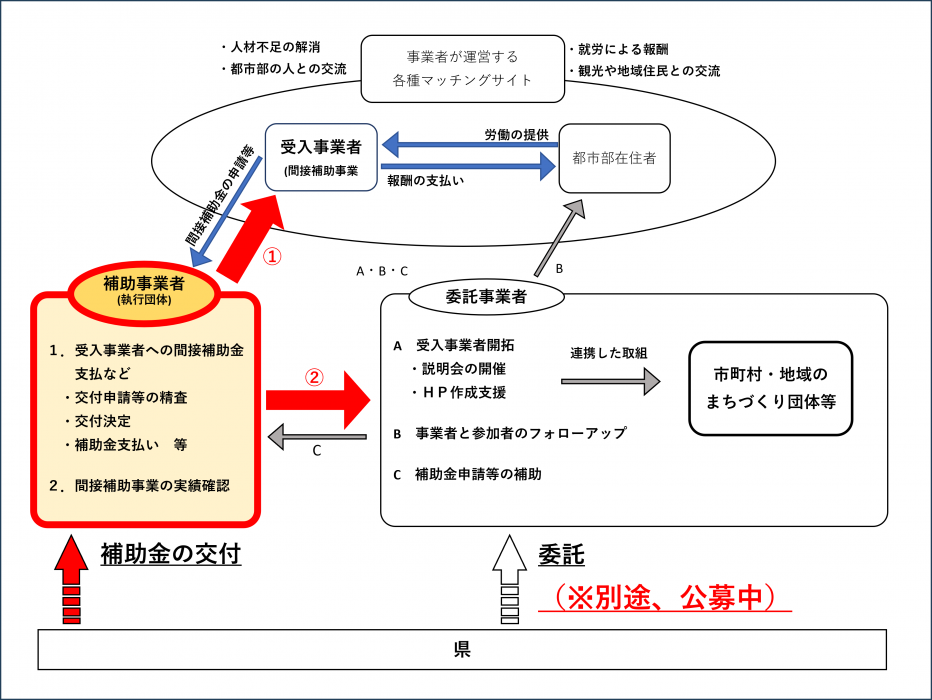 事業スキーム（補助事業者公募）