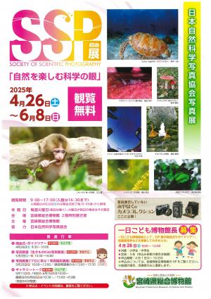 第45回SSP展ポスター