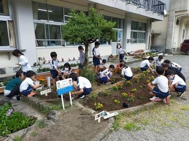 花壇整備
