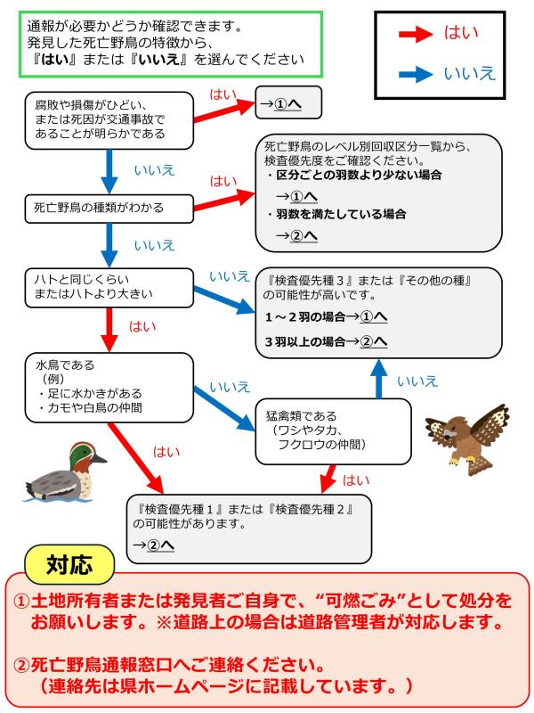 死亡野鳥通報判断フロー