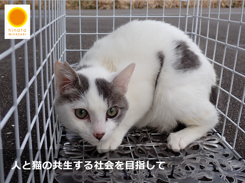 トップ画像