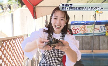 イルカランド