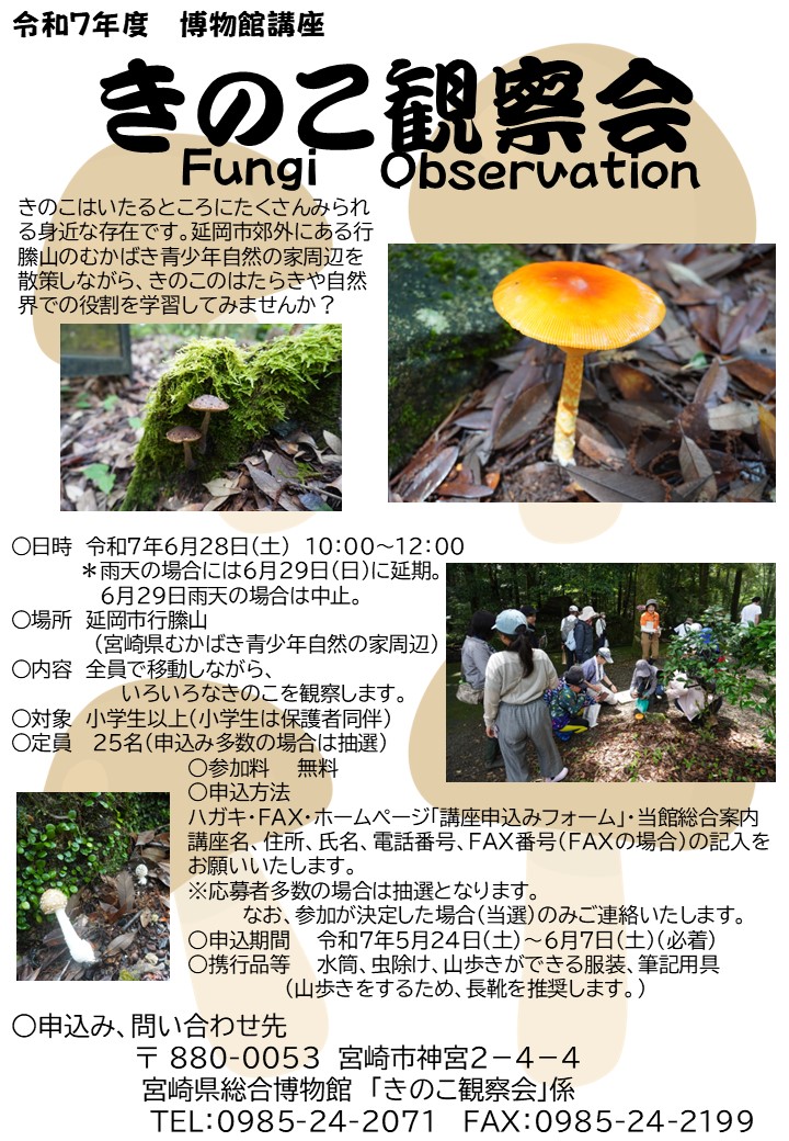 きのこ観察会チラシ