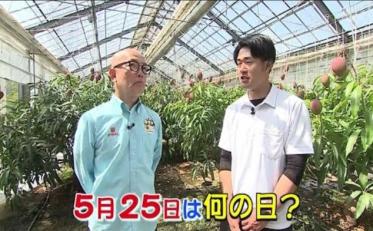 マンゴー