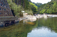 七折用水の取水口付近