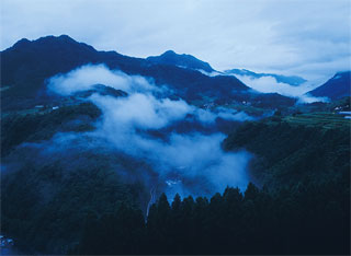 田毎の月