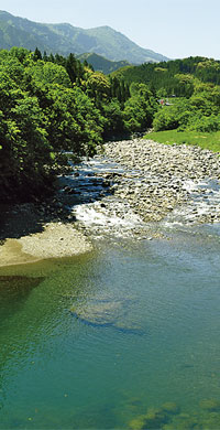 生家の前を流れる坪谷川