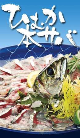 ひむか本サバ