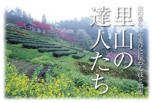 今月の表紙「木城町石河内から美郷町への抜道に咲くヤマザクラ」