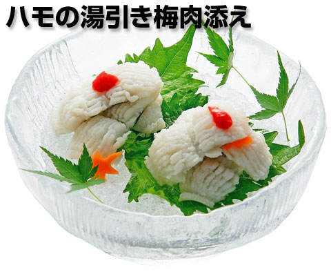 ハモの湯引き梅肉添え
