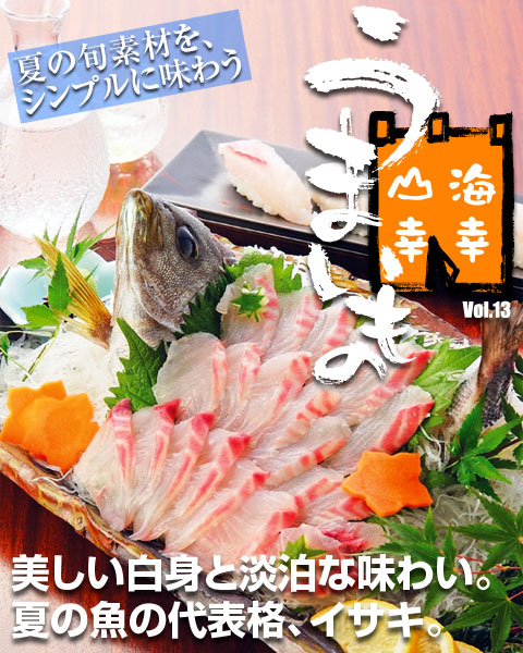 夏の魚の代表格イサキ