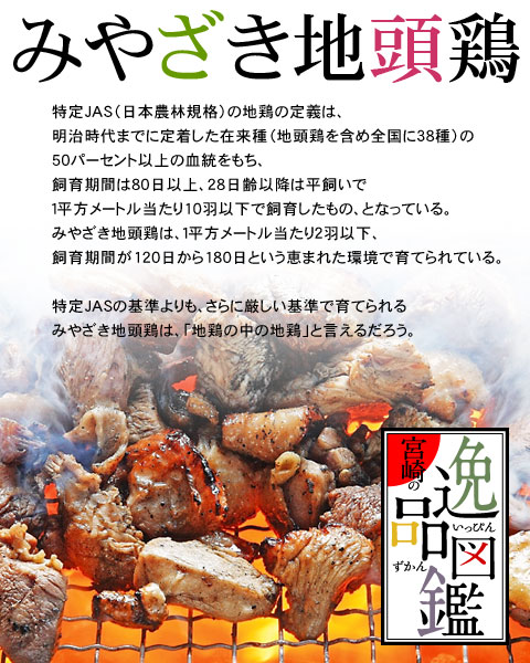 みやざき地頭鶏