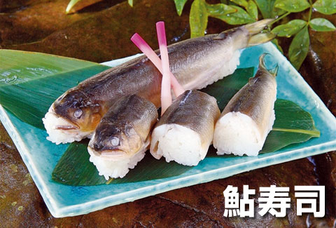 鮎寿司