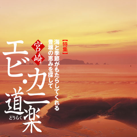 日南市大堂津海岸の朝焼けの風景