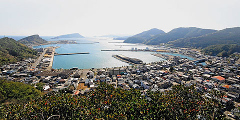 油津港