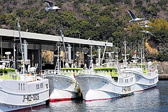 19トン級のマグロ船