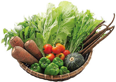 綾の有機野菜
