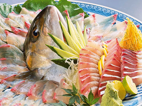 宮崎カンパチ