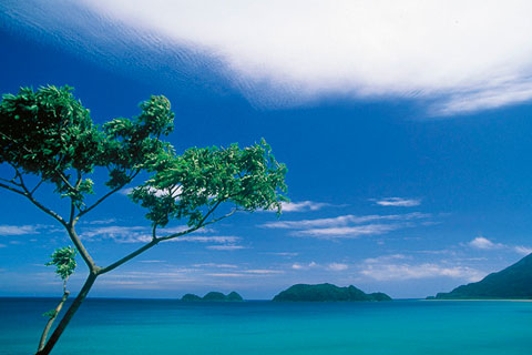串間市 石波海岸