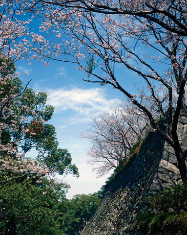 城山公園
