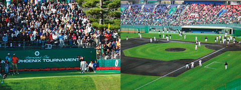 プロスポーツのメッカ、宮崎