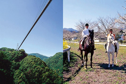 照葉大吊橋・綾馬事公苑