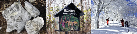 周辺の景観