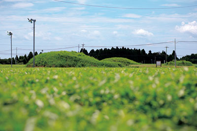 持田古墳群