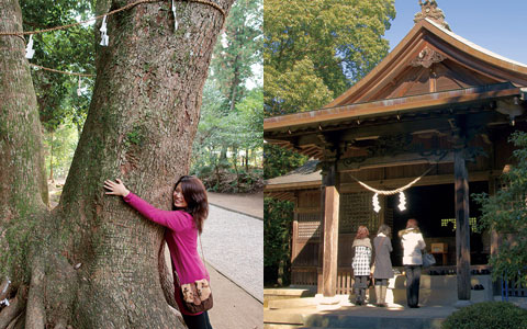 江田神社
