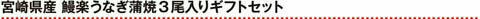 宮崎県産鰻楽うなぎ蒲焼3尾入りギフトセット