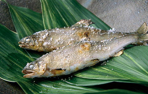鮎の塩焼き